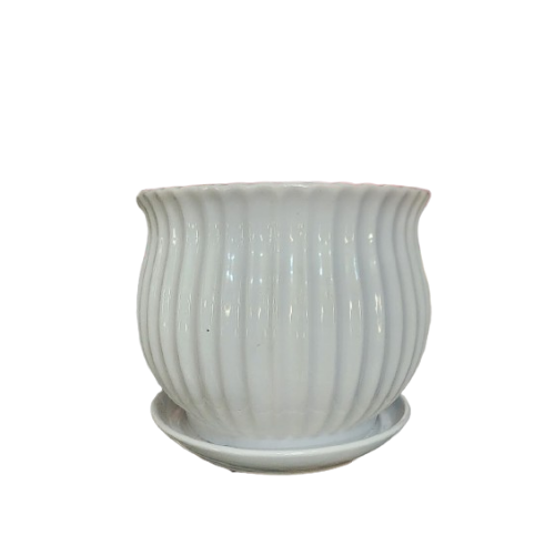 Classic White Ceramic Pot